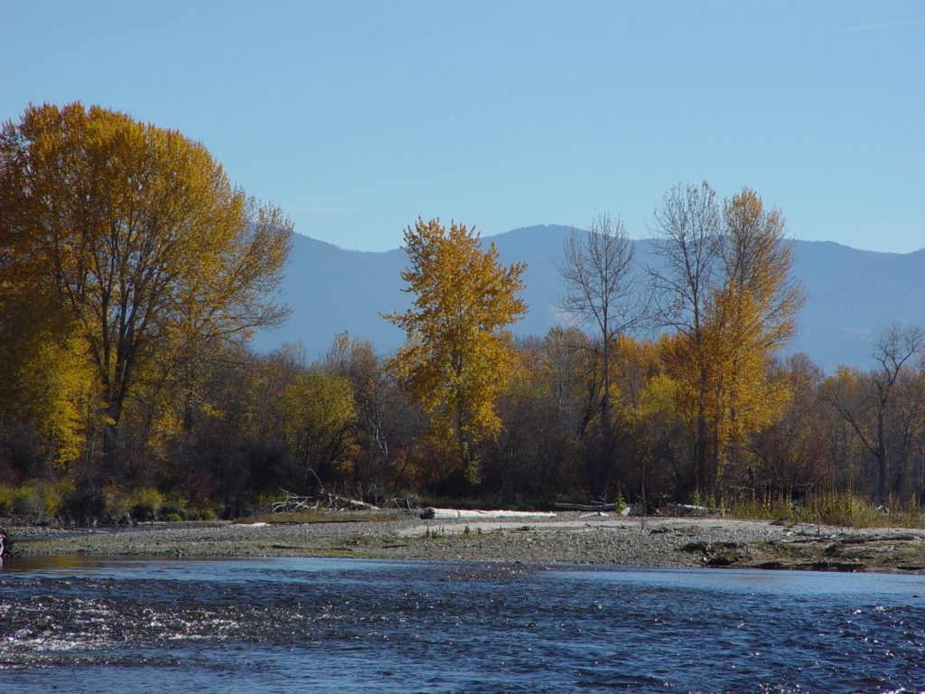 Bitterroot valley pics 10-21-05 079