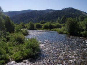 Trout Fishing Missoula