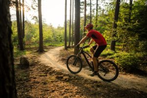 Mountain biking Trails in Missoula, Montana