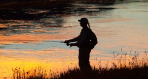 trout fishing at sunset