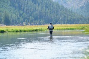 fly-fishing for trout in Montana