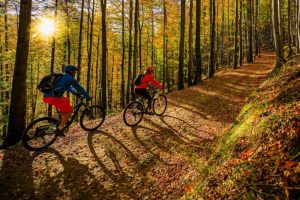 couple on biking trail in autumn forest.