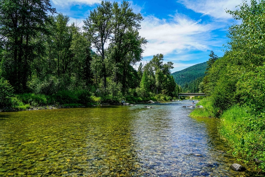 Top Nature Preserves to Visit Near Missoula this Summer