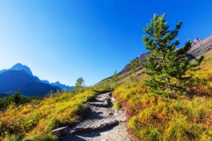 Mountain top hiking trail with autumn foliage, blue sky and distant mountain peaks