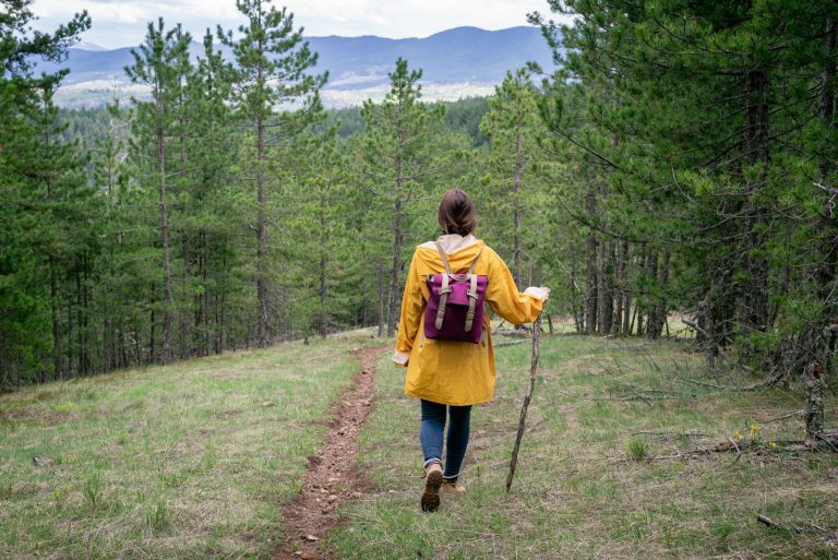 Great Missoula Hikes to Take this Fall