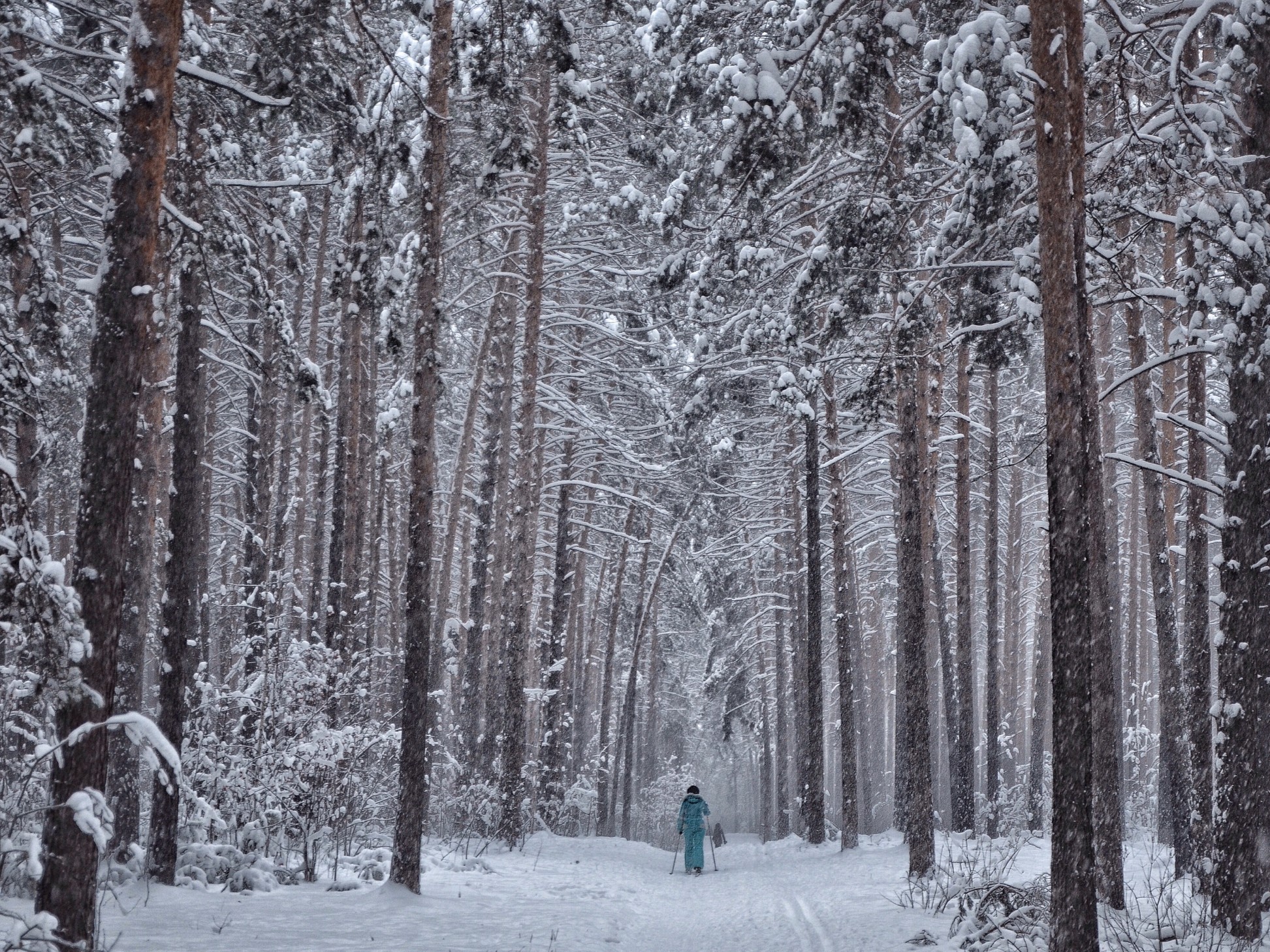 Cross country skiing through beautiful landscapes while staying at our incredible Bed and Breakfast in Missoula MT this winter