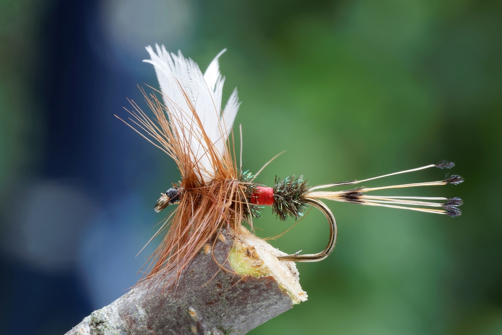 The Best Missoula Montana Fly Fishing