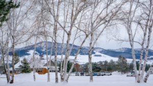 Enjoy beautiful winter scenery like this at our Bed and Breakfast in Missoula MT This Winter