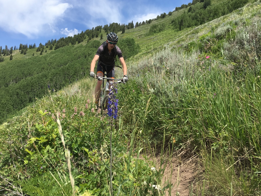 A cyclist riding through wildflowers on one of the many great Missoula mountain biking trails near us