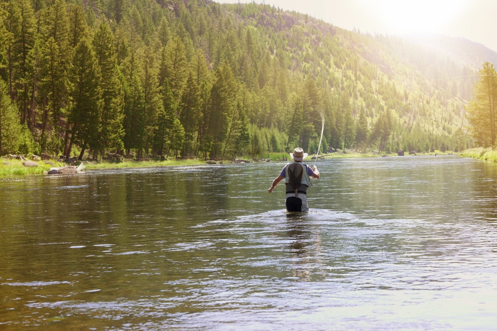A man doing some Montana fly fishing in a nearby river, a great alternative to Flathead Lake fishing