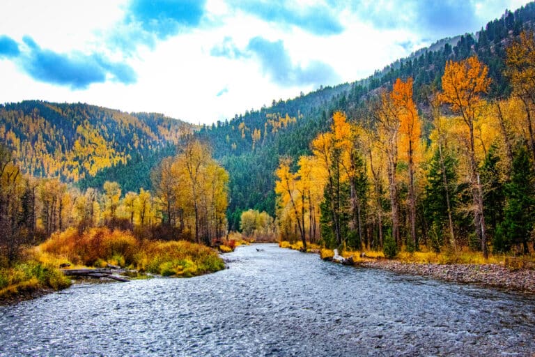 Beautiful fall foliage surrounding this river at one of Montana State Parks