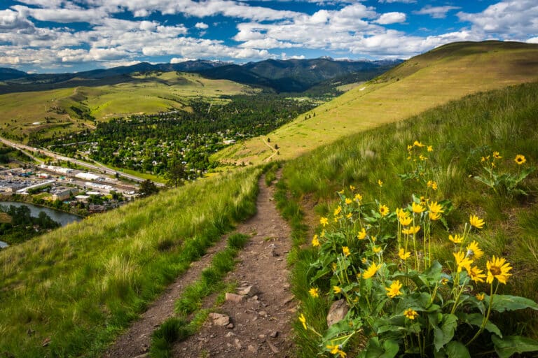 Hiking trail above the city - marking one of the best things to do in Missoula, Montana