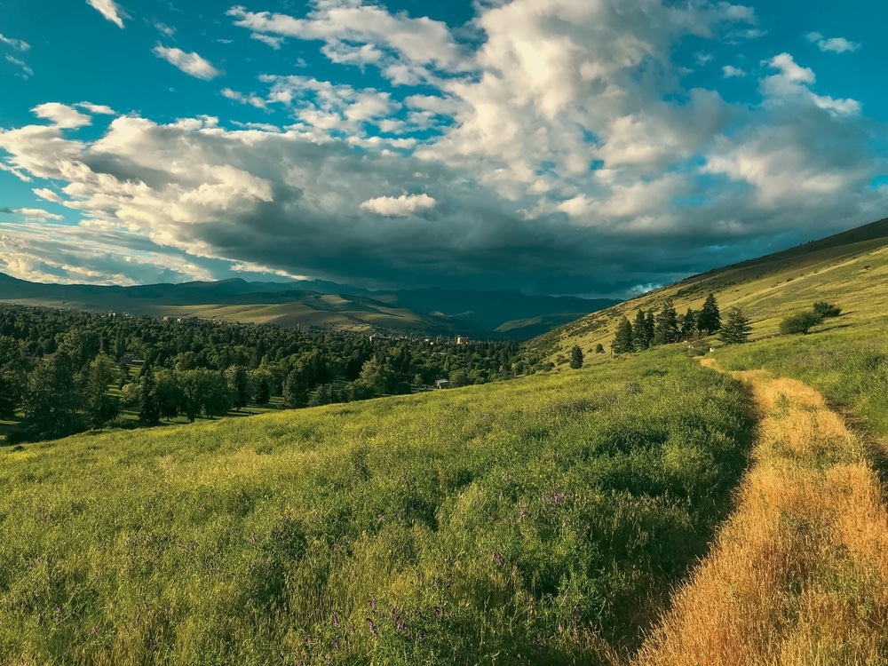 A hiking trail near Missoula, another of the top-rated things to do in Missoula, Montana