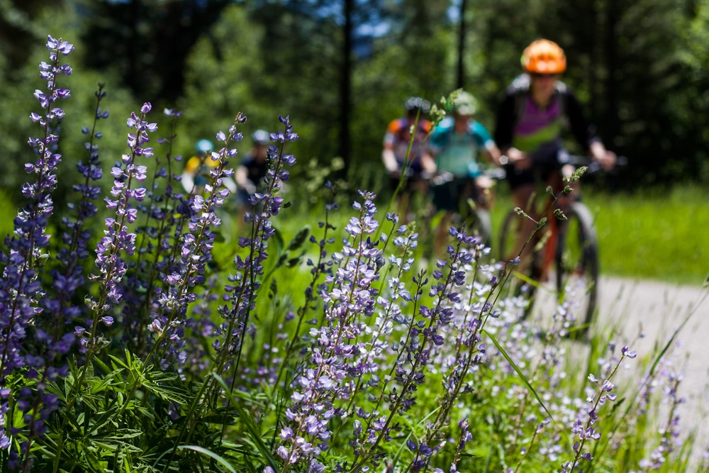 Bikers enjoying a summer day on the Bitterroot Trail Near Missoula