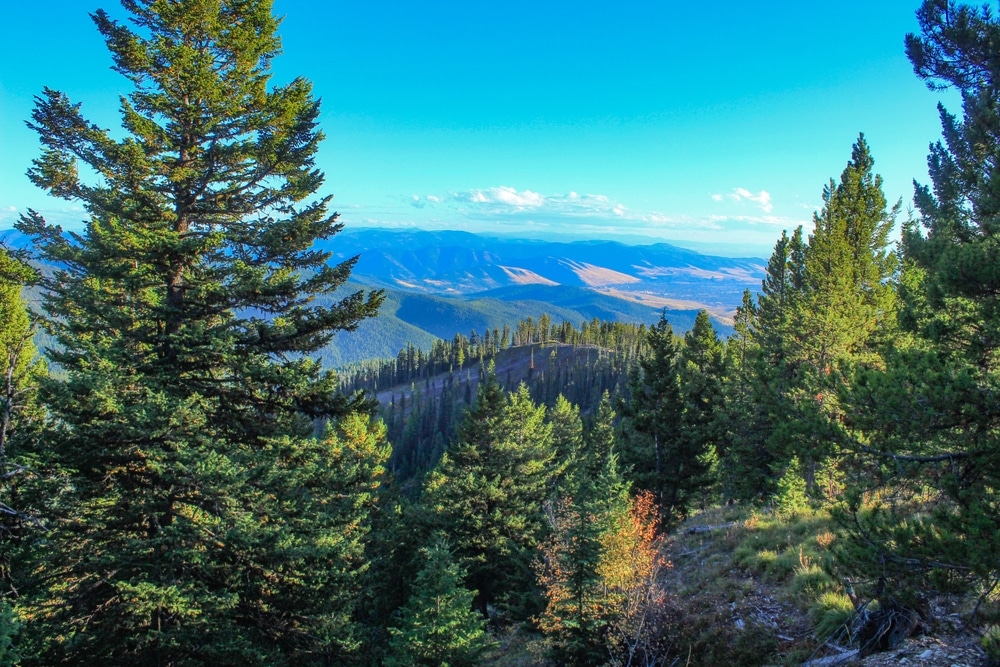 Missoula Has Some of the Best Hiking in Montana 4 Gorgeous mountain views in Missoula, where you'll find some of the best hiking in Montana