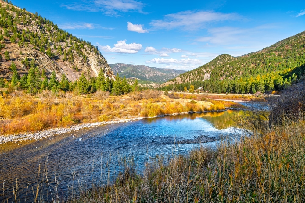 What to do in Missoula This Fall 4 What to do in Missoula in the fall with a river running through fall colored trees.